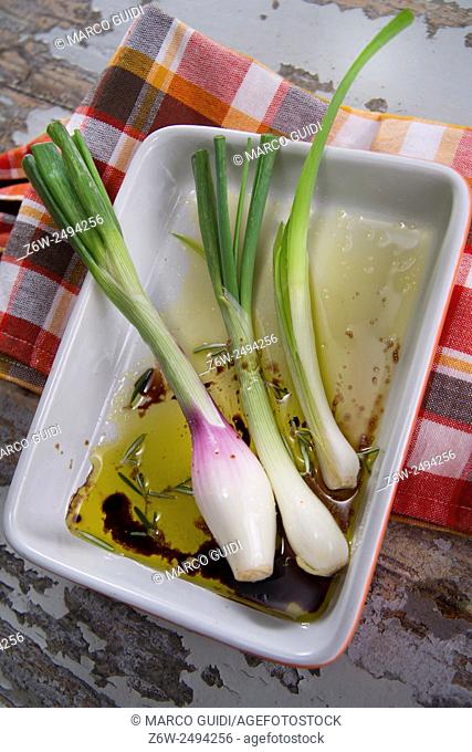 Fresh onion with oil and vinegar salt vinaigrette