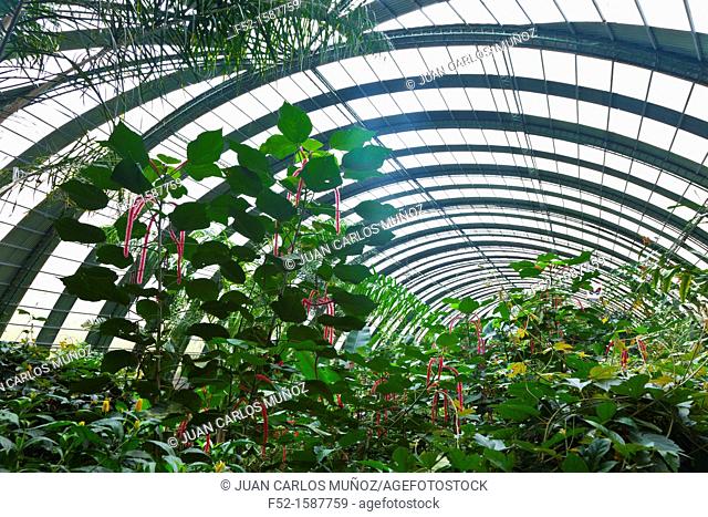 Butterfly greenhouse, Santa Elena Cloud Forest Nature Reserve, Costa Rica, Central America, America