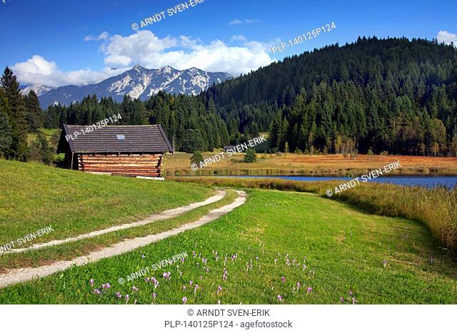 Wooden huts / granaries along lake Gerold / Geroldsee near Mittenwald, Upper Bavaria, Germany