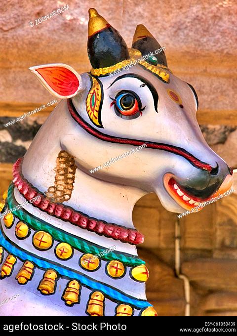 Colourful, sacred temple cow, Tamil Nadu, southern India. High quality photo