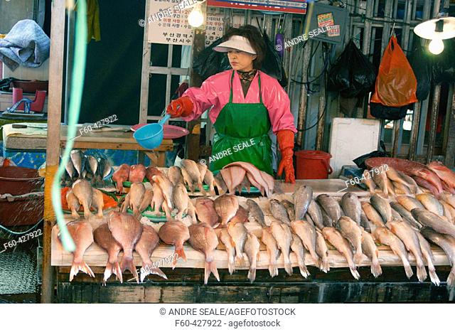 Fresh fish for sale at Jagalshi seafood market, Busan, South Korea