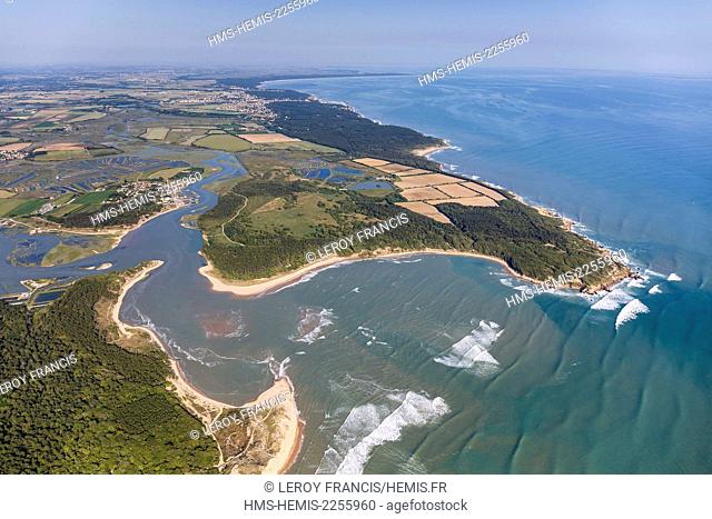 France, Vendee, Talmont Saint Hilaire, le Havre du Payre, the Veillon beach and la Guittiere marshes (aerial view)