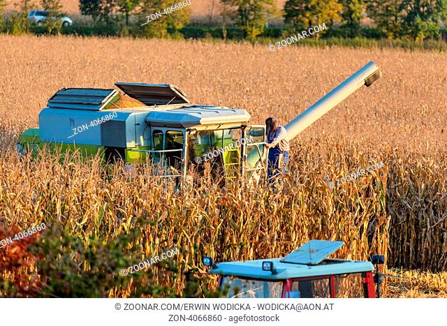 Ein Mähdrescher beim Ernten von Mais auf dem Feld eines Bauern