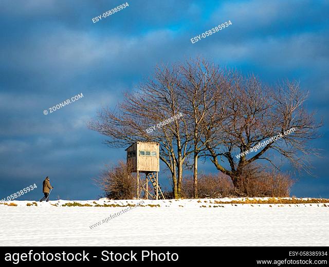 Elder men nordic walking in winter landscape