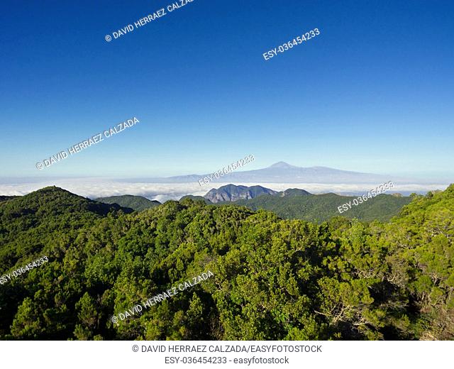 Beautiful aerial view of Garajonay national park in La Gomera island, with Tenerife island and Teide volcano in the background, Canary island, Spain