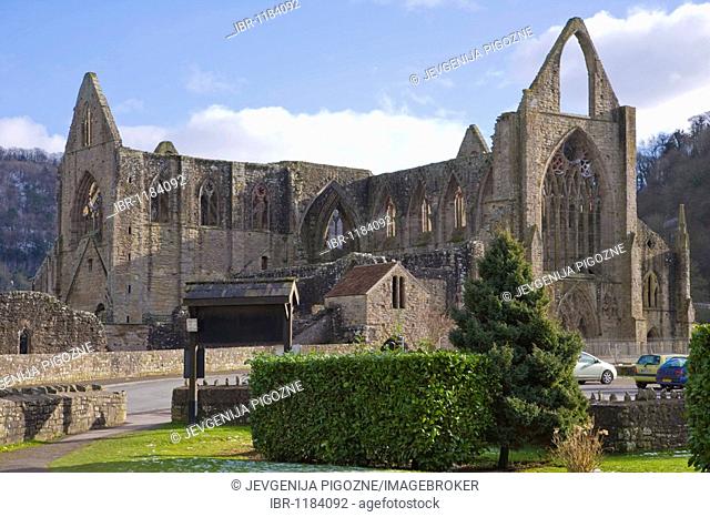 Tintern Abbey, Wye Valley, South Wales, United Kingdom, Europe