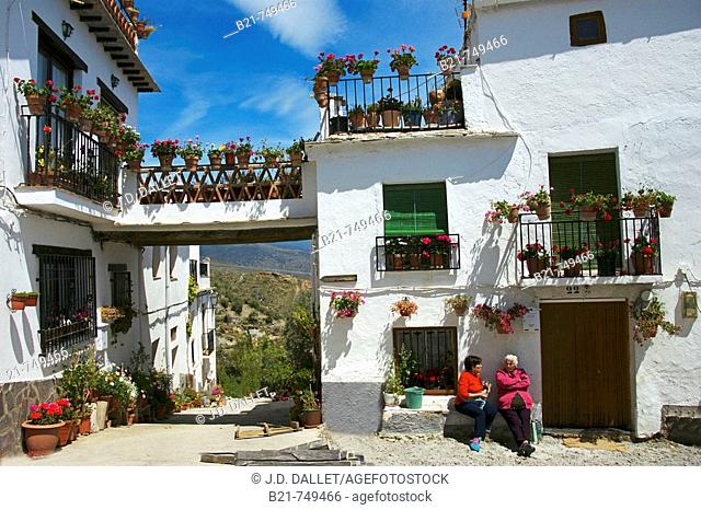 Spain. Andalusia. Granada. The village of Yegen in the Alpujarras mountains, where hispanist Gerald Brenan lived from 1920 to 1934