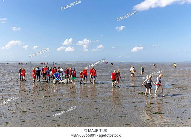 Low tide, mudflat, walk across the mudflats, beach of Harlesiel