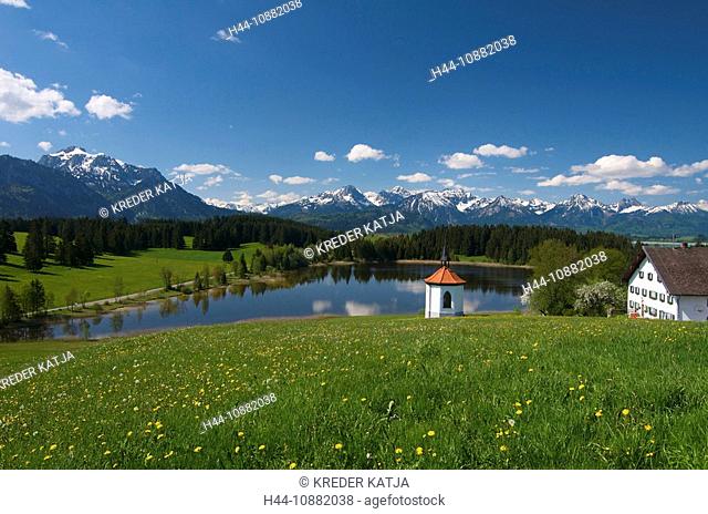 2, Allgaeu, Allgäu, the Alps, outside, Bavaria, flowers, flower meadow, mountains, body of water, Hegratsrieder lake, sea, chapel, church, scenery, nature, lake