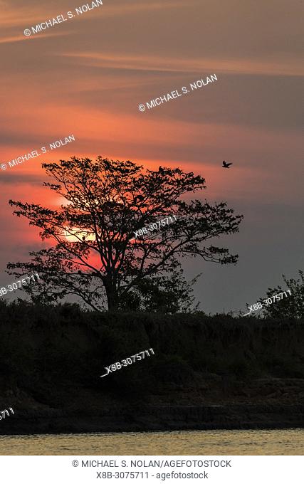 Sunset over the river near Puerto Jofre, Mato Grosso, Pantanal, Brazil