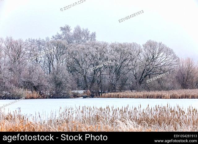 Winter landscape with frozen pond covered with snow. Central european countryside. Christmas winter concept
