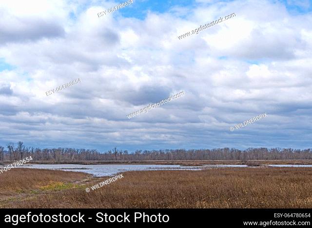 Clouds and Sun Over a Wildlife Refuge Wetland at the Ted Shanks Wildlife Management Area in Missouri