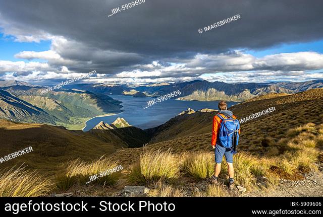 Hiker looks into the distance, view of Lake Hawea, lake and mountain landscape, view from Isthmus Peak, Wanaka, Otago, South Island, New Zealand, Oceania