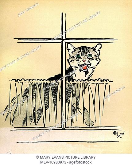 Illustration by Cecil Aldin, Jack and Jill, showing Jill the cat in the window, watching the rest of the family drive off without her