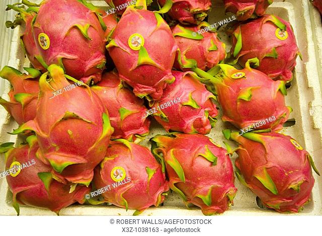 The pitaya dragon fruit, strawberry pear, nanettikafruit, or thanh long is the fruit of several cactus species
