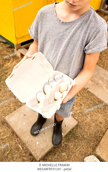 Boy holding eggs at chickenhouse in garden