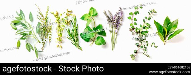 Fresh aromatic herbs, overhead flat lay panorama on a white background. Bunches of rosemary, lavender, thyme and various other ingredients of Mediterranean...