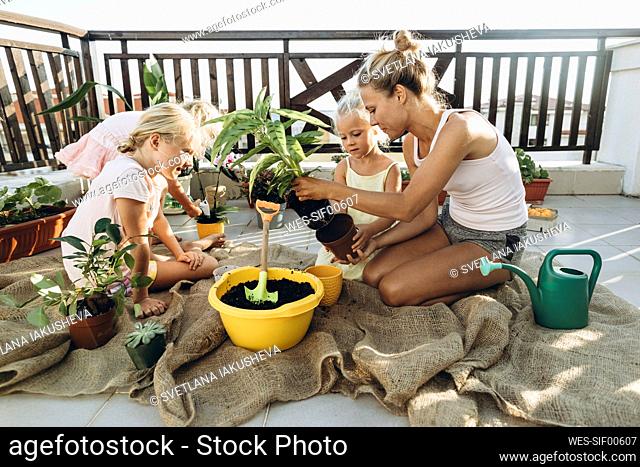 Mother and daughters planting on roof terrace together