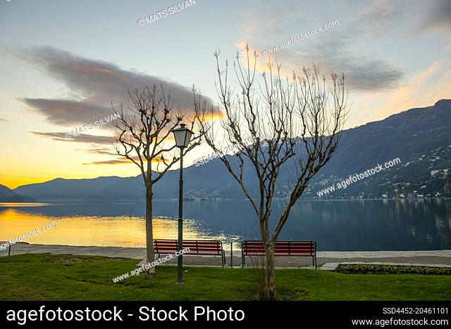 Bare Tree and Bench on Alpine lake Maggiore with Mountain in Dusk in Ascona, Switzerland