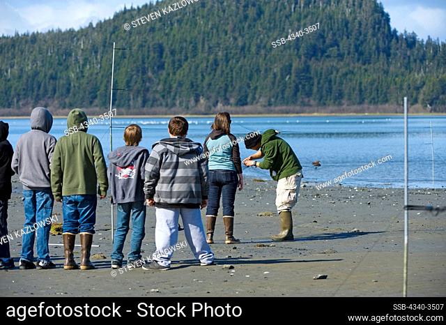 Students observe researchers conducting an annual migrating shorebird study using Western sandpipers (Calidris mauri) caught in nets during spring migration
