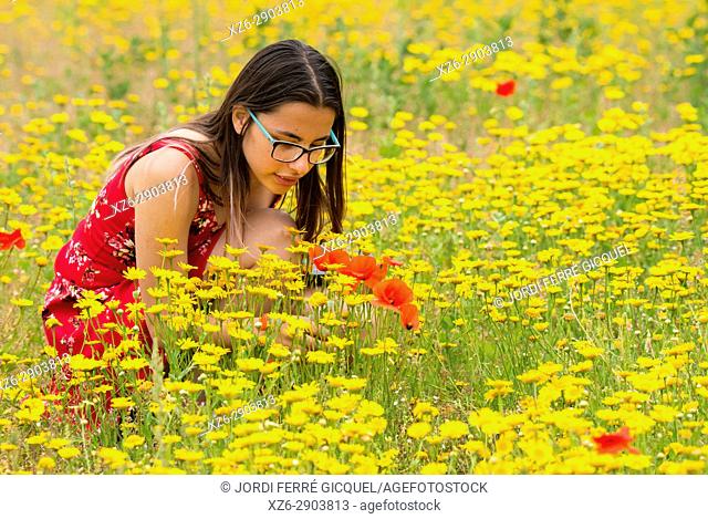 Girl with a red dress picking up flowers in a yellow field