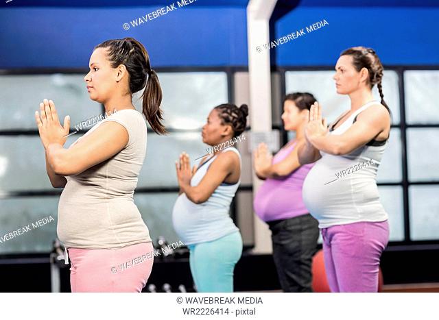 Pregnant women doing yoga exercise