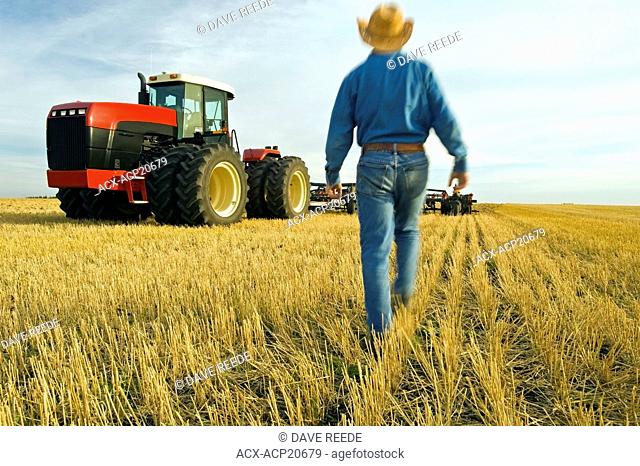 Farmer walking in a field of grain stubble towards his tractor, Tiger Hills, Manitoba, Canada
