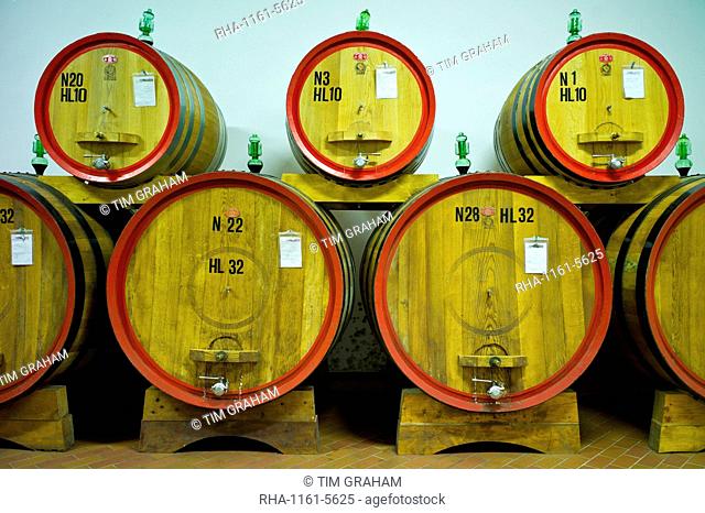 La Fornace Brunello di Montalcino wine stored in barrique barrels at the wine estate of La Fornace in Val D'Orcia, Tuscany, Italy