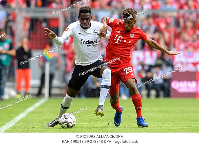18 May 2019, Bavaria, Munich: Soccer: Bundesliga, Bayern Munich - Eintracht Frankfurt, 34th matchday in the Allianz Arena