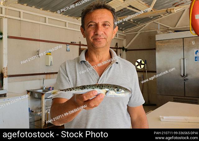23 May 2021, Turkey, Antalya: The head of the fishing cooperative in Antalya, Cengiz Balta, holds a harehead puffer fish in his hand