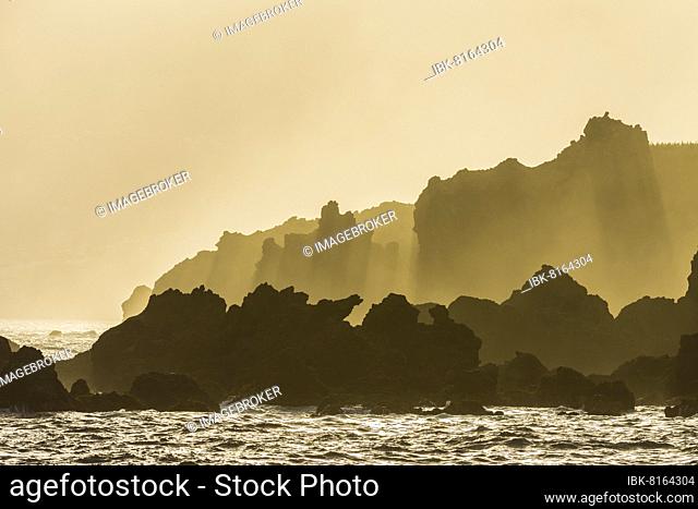 Lava rock coast with with morning mist, Charco del Viento, La Guancha, Tenerife, Canary Islands, Spain, Europe