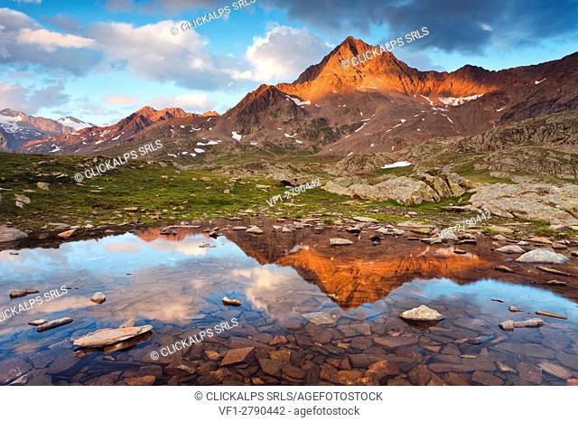 Gavia pass, Stelvio national park, Lombardy, Italy. The Corno of Tre Signori is reflected into a small puddle