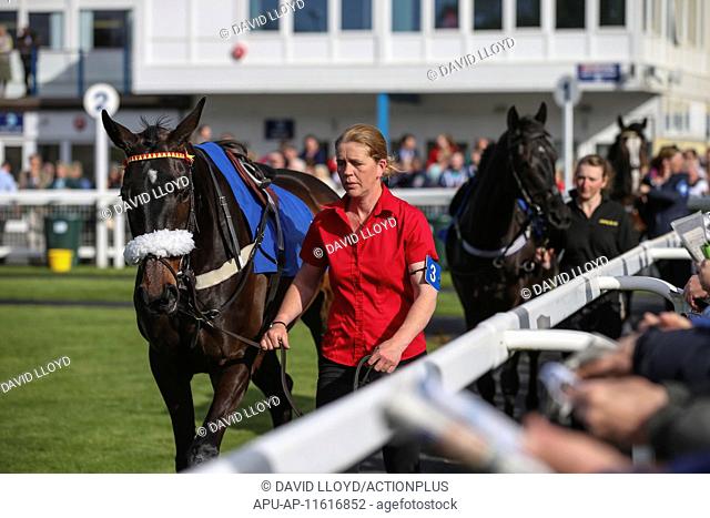 2015 Newton Abbot Races Apr 30th. 30.04.2015. Newton Abbot, England. Newton Abbot Races. In the paddock for the Royal British Legion Newton Abbot Mares' Novice...