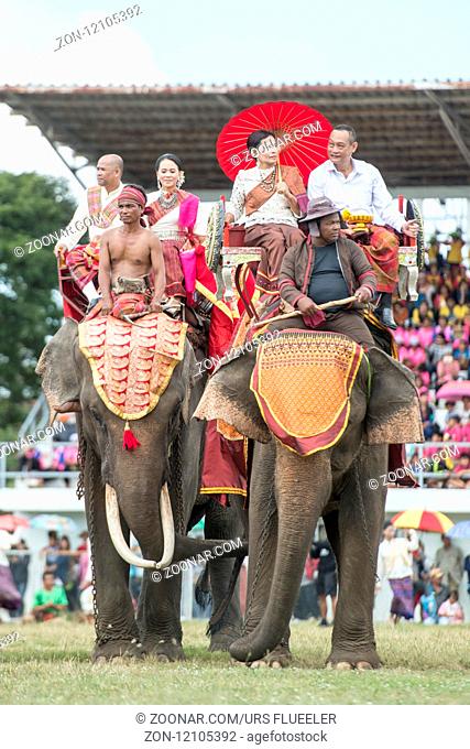 Elephants at the Elaphant Show in the Stadium at the traditional Elephant Round Up Festival in the city of Surin in Isan in Thailand