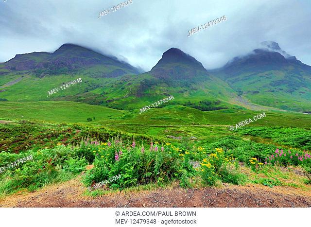 The Three Sisters of Bidean nam Bian mountains