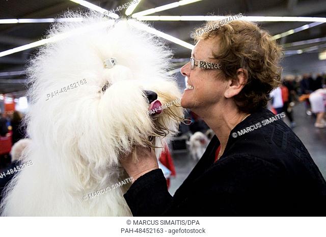 Lizie van Heel prepares her Old English Sheepdog for a competition during the fair 'Cats and Dogs' in Dortmund, Germany, 09 May 2014
