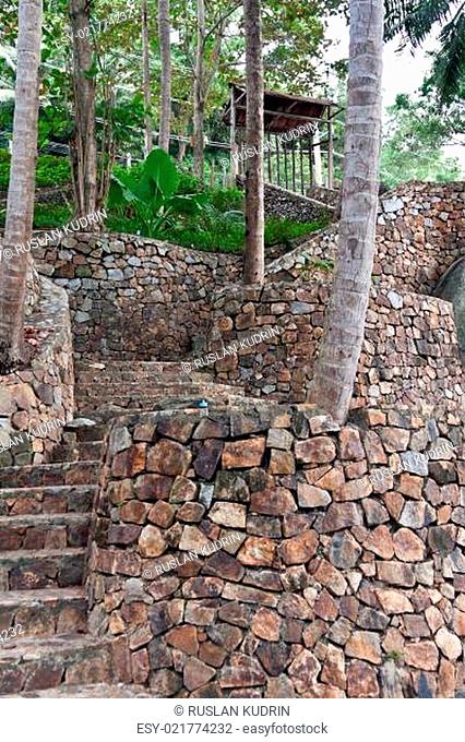 stone staircase in the jungles