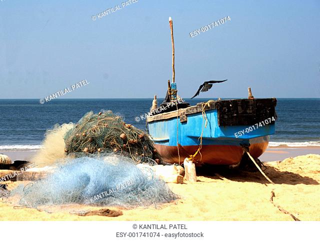 crows over fishing boat Calangute Goa India