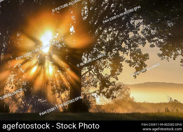 11 August 2023, Baden-Württemberg, Riedlingen: Sun rays penetrate the morning fog that has formed on the Danube, coloring it yellowish