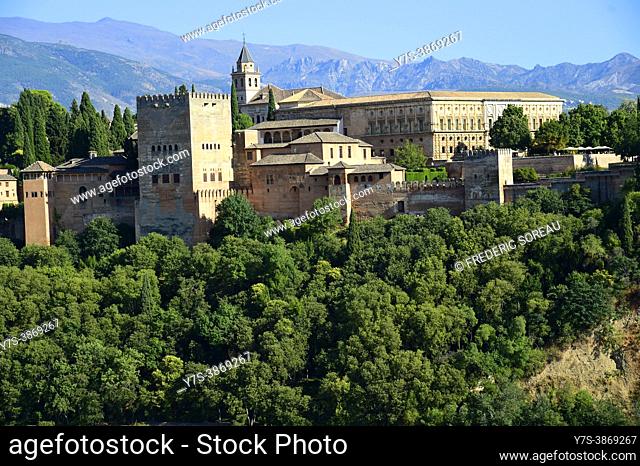 Panorama view of Alhambra Palace, Granada, Andalusia, Spain