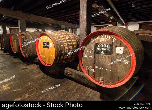 the wine barrel at the wine cellar in the Madeira wine company of Blandys in the city centre of Funchal on the Island Madeira of Portugal
