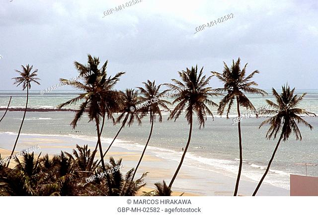 Beachs; Natal; Rio Grande do Norte