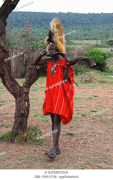 Masai warrior in Lion Mane headress blowing antelope horn Masai Mara Tribal village Kenya East Africa Until the 1980 s a man could only become a warrior after...