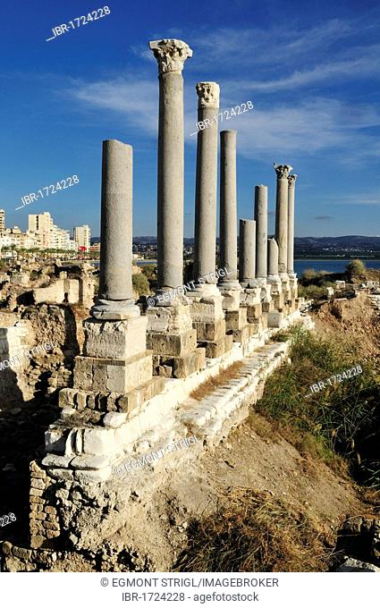 Antique archeological site of Tyros, Tyre, Sour, Unesco World Heritage Site, Lebanon, Middle East, West Asia