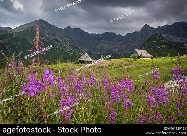 hut, Gasienicowa Valley, Tatra National Park, Lesser Poland Voivodeship, Carpathians, Poland