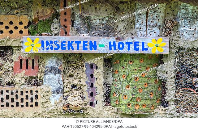 22 May 2019, Brandenburg, Sieversdorf: A self-built insect hotel in a baleen. Photo: Patrick Pleul/dpa-Zentralbild/ZB. - Sieversdorf/Brandenburg/Germany