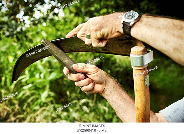 A gardener working sharpening a curved metal scythe blade with a file