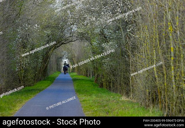04 April 2020, Brandenburg, Lietzen: A woman is riding her horse on a cycle path in the ""Lietzener Mühlental"". The nature reserve ""Lietzener Mühlental""...