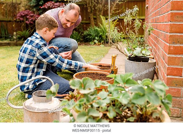 Father and son planting and sowing seeds together