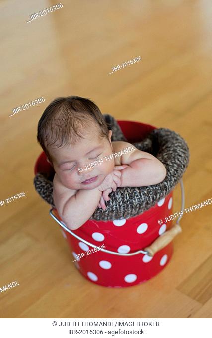 Newborn baby, five days, asleep in a red and white bucket